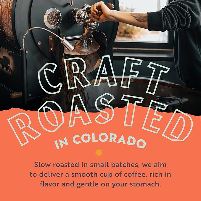 Clean Coffee Co. - Low Acid Medium-Dark Roast, Tested for Molds and Toxins, Papua New Guinea Blend