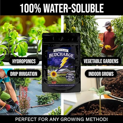 Bloom Booster Flowering Enhancer & Heavy Harvests – High-Density PK Formula – BudCharge 0-50-32 |