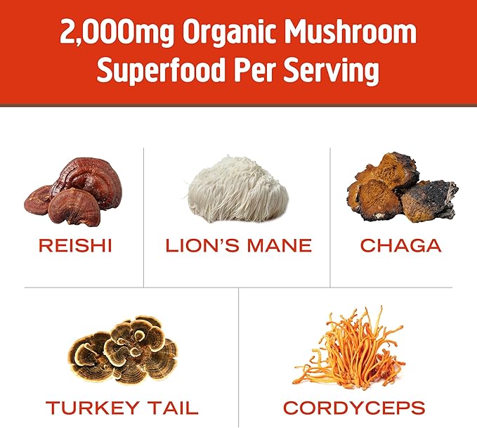 OM MUSHROOM SUPERFOOD Morning Energy Blend Mushroom Powder Drink, 8.47 Ounce Canister, Coffee Free
