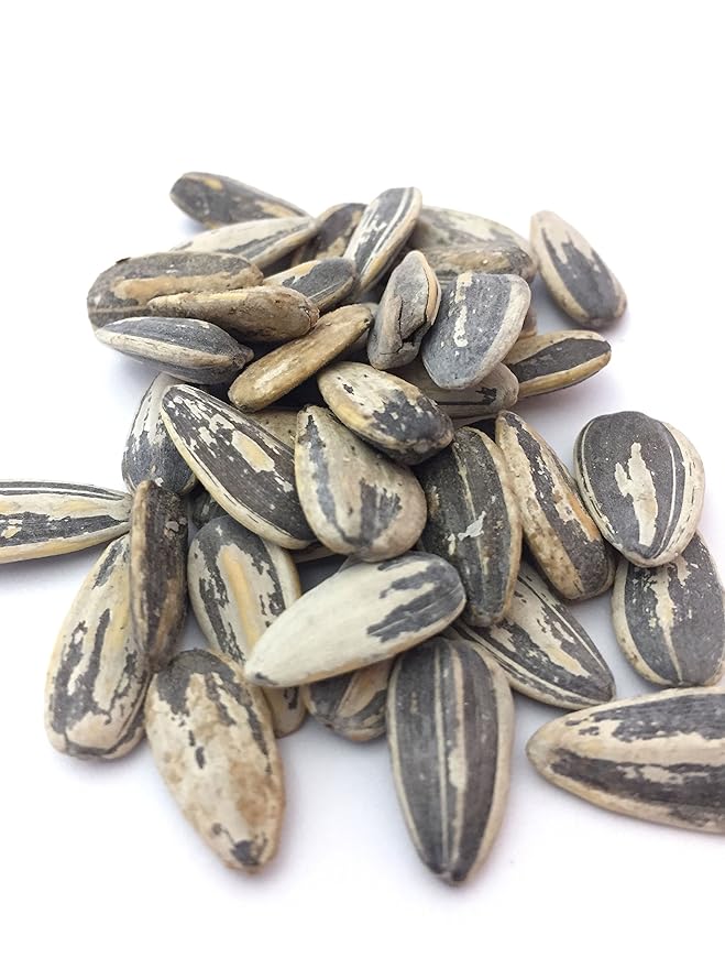 Bricktown Goods Salt and Balsamic Vinegar Flavored Sunflower Seeds - 1 Pack - Boldly Seasoned and
