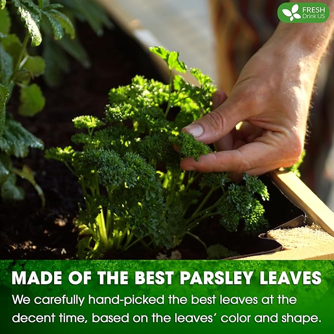 FreshDrinkUS, Premium 35 Parsley Leaf Tea Bags, 100% Natural & Pure from Parsley Leaves. Loose Leaf