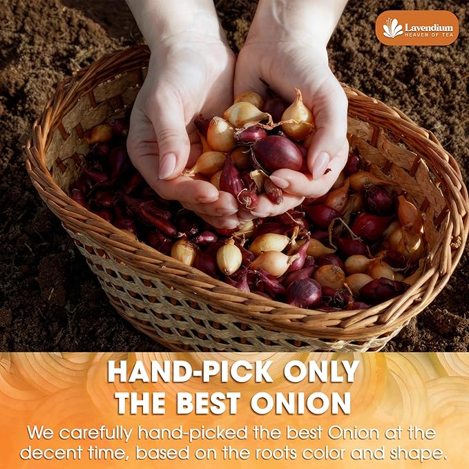 Lavendium, Premium 25oz Onion Powder, 100% Natural and Pure from Onion, Rich Flavor, Perfect for