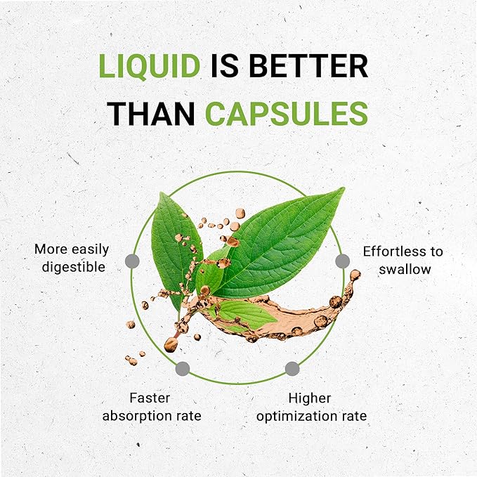 Bacopa USDA Organic | Alcohol-FREE Extract, High-Potency Herbal Drops, Relaxation, Positive