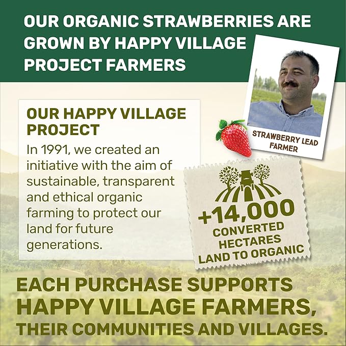 Happy Village Organic Soft Dried Strawberries On the Go – 3 Bags (15 Individual Portion Packs) |