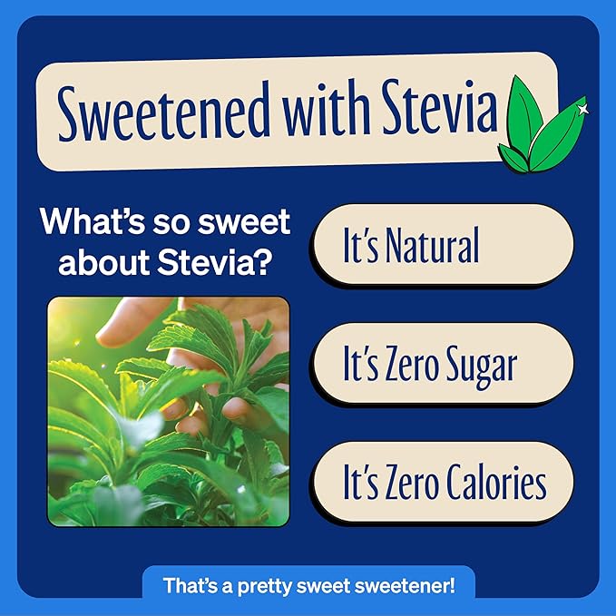 Zevia Zero Sugar Soda, Vanilla Cola, 12 oz Cans (24-Pack) ??Naturally Sweetened, Non-GMO Project