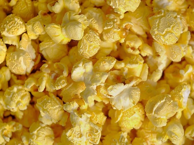 Amish Country Popcorn | 12 Pack Mixed Seasoning Bundle | Old Fashioned, Non-GMO and Gluten Free