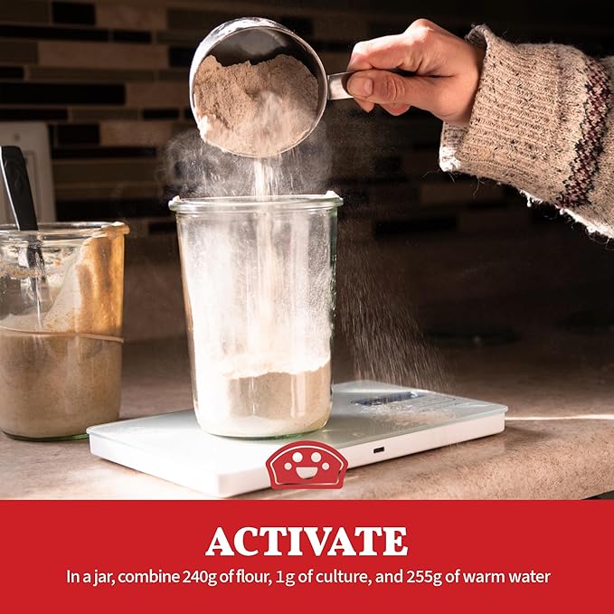 Bakers Club Rapid 24-Hour Sourdough Starter Culture - Makes 5 Batches - Mix, Ferment & Bake Next