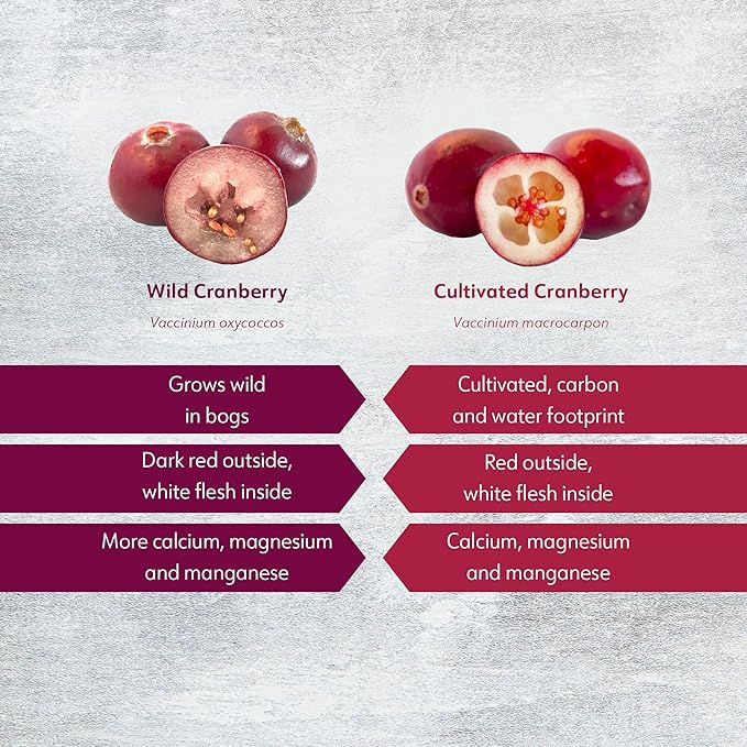 Wild Organic Freeze Dried Cranberry Powder, 3.2 Oz, 18-Day Supply, from Nordic Forests, Raw, No