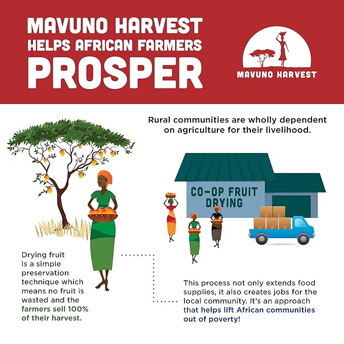 Mavuno Harvest Jackfruit Dried Fruit Snacks | Unsweetened Organic Dried Jackfruit Chips | Gluten