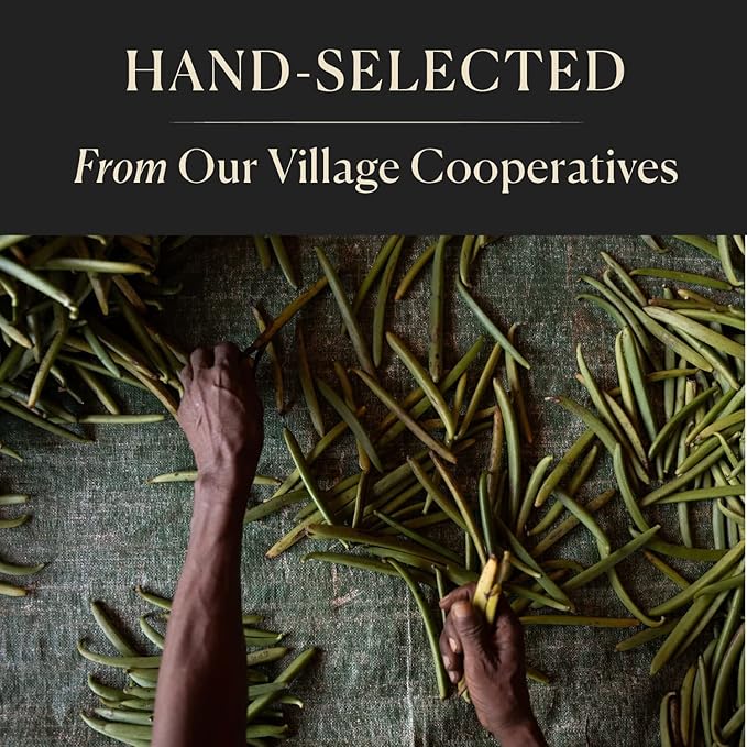 50 Organic Madagascar Whole Vanilla Beans, Grade A Vanilla Pods, Premium Vanilla Beans for Making