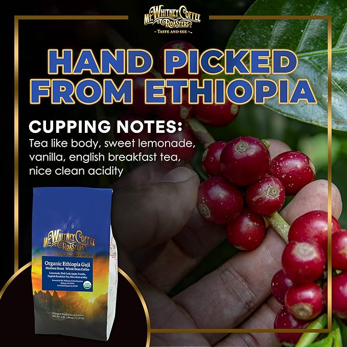 Mt. Whitney Organic Ethiopia Guji Coffee (Whole Bean, 5 Lb)