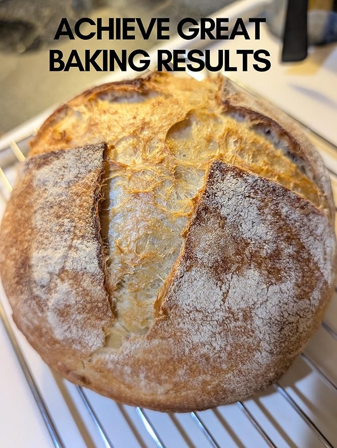 Dehydrated Sourdough Starter Culture | New England Sourdough Starter Co. | 6 Easy Steps to Your Own