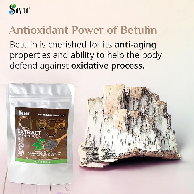 Sayan Siberian Chaga Mushroom Extract with Betulin Powder (4 oz) ??Organic Antioxidant Blend