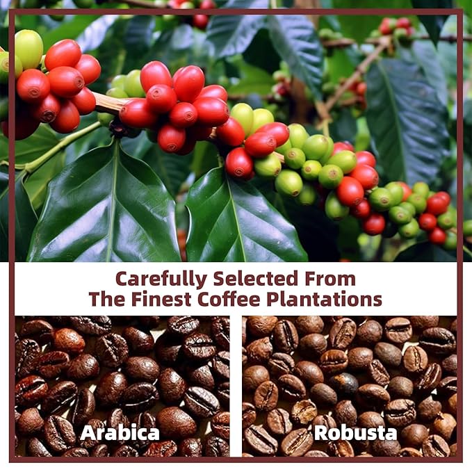 Mushroom Coffee Alternative Cappuccino Mix, Instant Superfood Coffee Drink with Reishi Mushroom