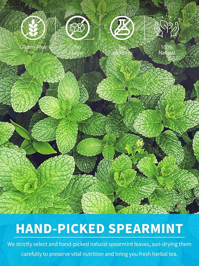 TeeLux Spearmint Tea Bags, Natural Spearmint Leaf Herbal Tea, Refreshing & Smooth Mint Tea