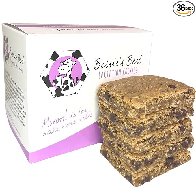 Bessie?셲 Best Lactation Cookies | Lactation Support | Oatmeal Peanut Butter Chocolate Chip |