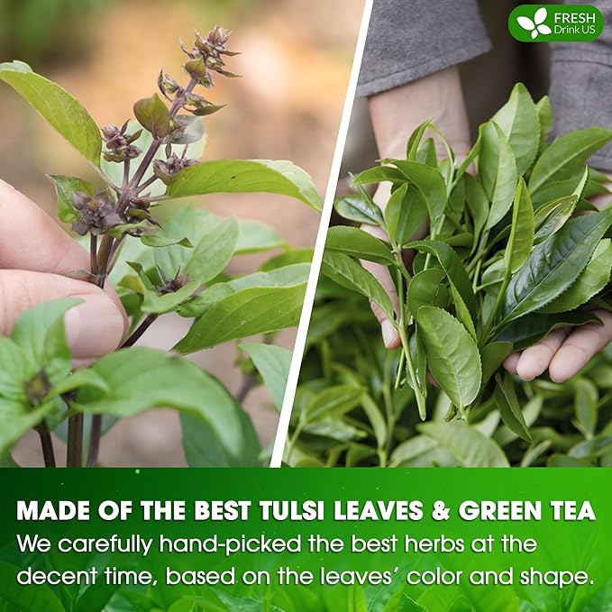 FreshDrinkUS, Premium 55 Tulsi Green Tea Bags, 100% Natural, Blend of Tulsi Holy Basil Leaves, and