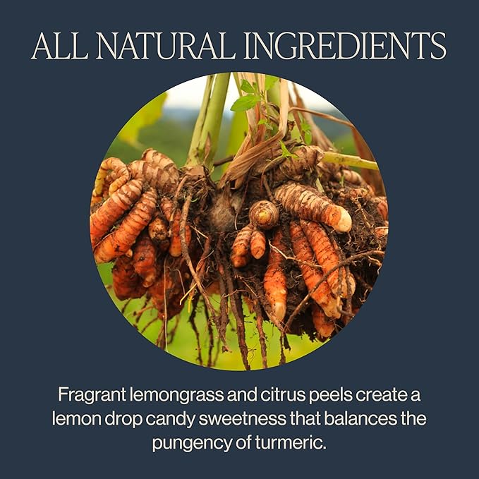 Rishi Tea Turmeric Ginger Herbal Tea - Organic Loose Leaf, Caffeine Free Ayurvedic Digestive Blend