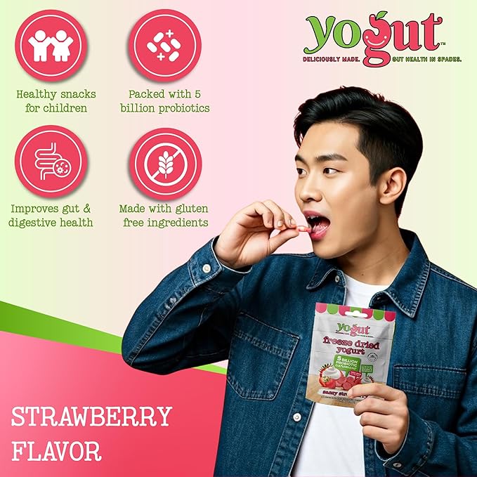YoGut Freeze Dried Yogurt Snack, Variety Pack, 6 Pack, Healthy Snacks for Kids, Toddlers & Adults