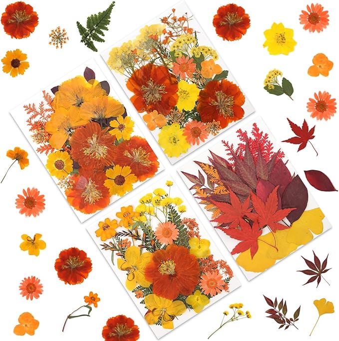 80P Autumn Tone Dried Flowers for Crafts - Real Natural Pressed Flowers in Warm Fall Hues for