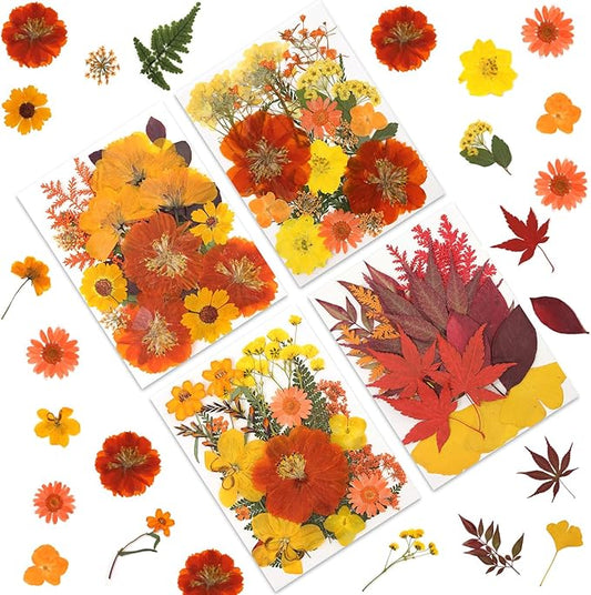 80P Autumn Tone Dried Flowers for Crafts - Real Natural Pressed Flowers in Warm Fall Hues for
