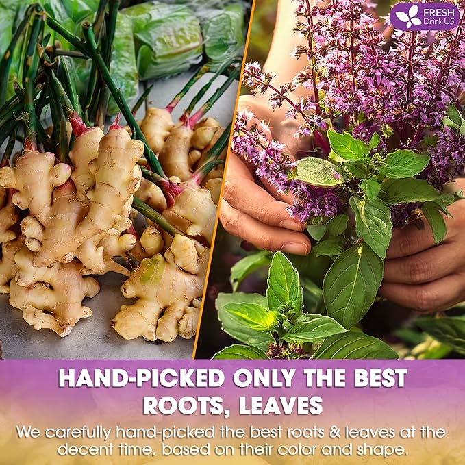 FreshDrinkUS, Premium 135 Ginger Tulsi Tea Bags, 100% Natural, Hand-made Blend of Ginger and Tulsi