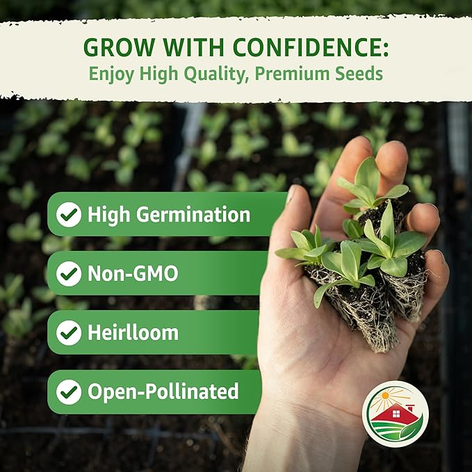TKE Farms & Gardens - Chocolate Cherry Sunflower Seeds for Planting, 50+ Heirloom Non-GMO Seeds
