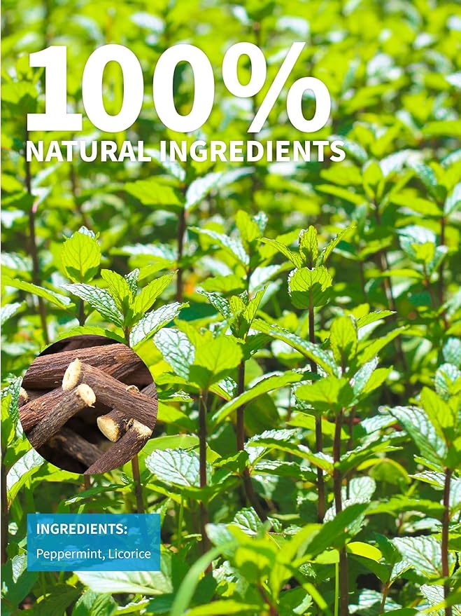 TeeLux Licorice Peppermint Tea, Natural Soothing Peppermint with Sweet Licorice Root, Caffeine