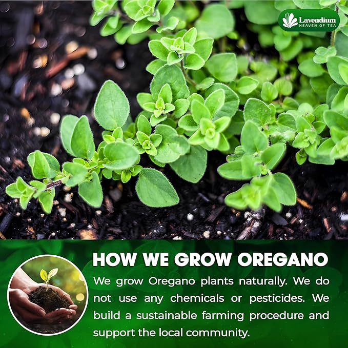 Lavendium, Premium 8 oz Dried Oregano Leaves ??100% Pure, Non-GMO, Gluten-Free, Vegan ??Aromatic
