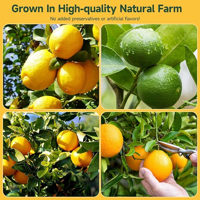 3-Pack Dehydrated ORANGE,LEMON & LIME,9oz total,Premium Craft Cocktail Garnish With10 Pcs Drink