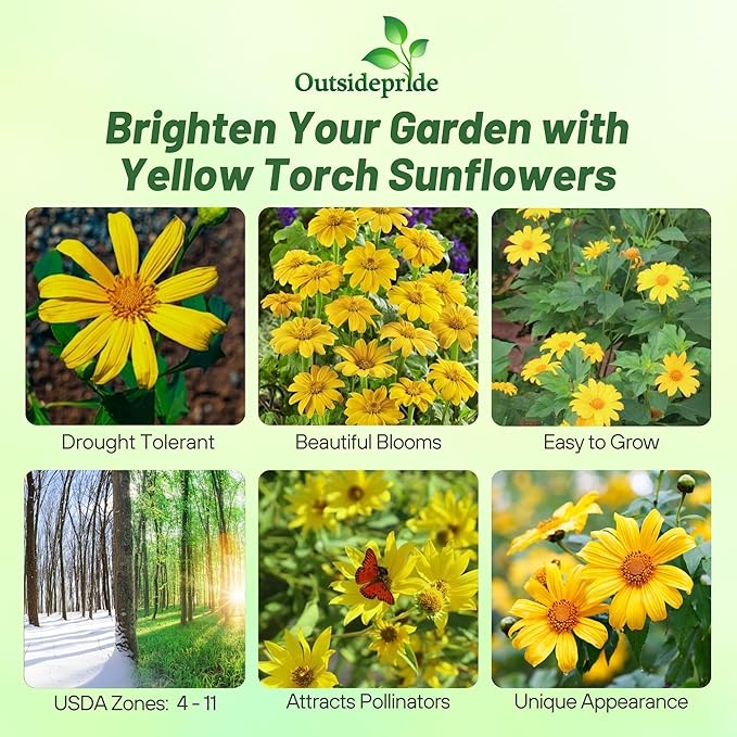 Outsidepride Yellow Torch Mexican Sunflower Seeds - 1000 Pcs Annual, Easy-to-Grow, Yellow Tithonia