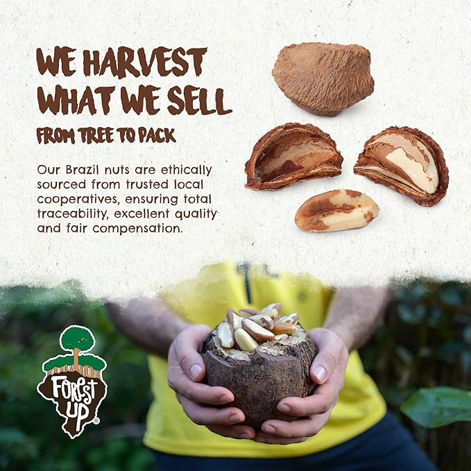Snack The True Organic Brazil Nuts 32oz-2lbs – Roasted & Himalayan Salt – Kosher – Healthy-Rich in