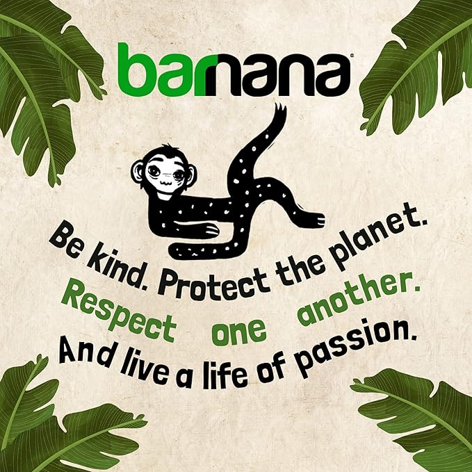 Barnana - Organic Plantain Chips, Himalayan Pink Salt, Healthy Snack Made With 100% Coconut Oil