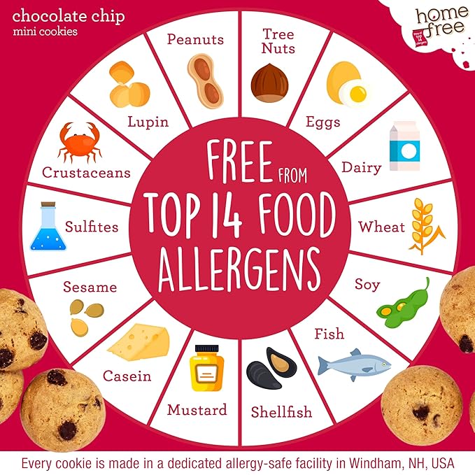 Homefree Treats You Can Trust Gluten Free Mini Cookies, Chocolate Chip, 5 Ounce