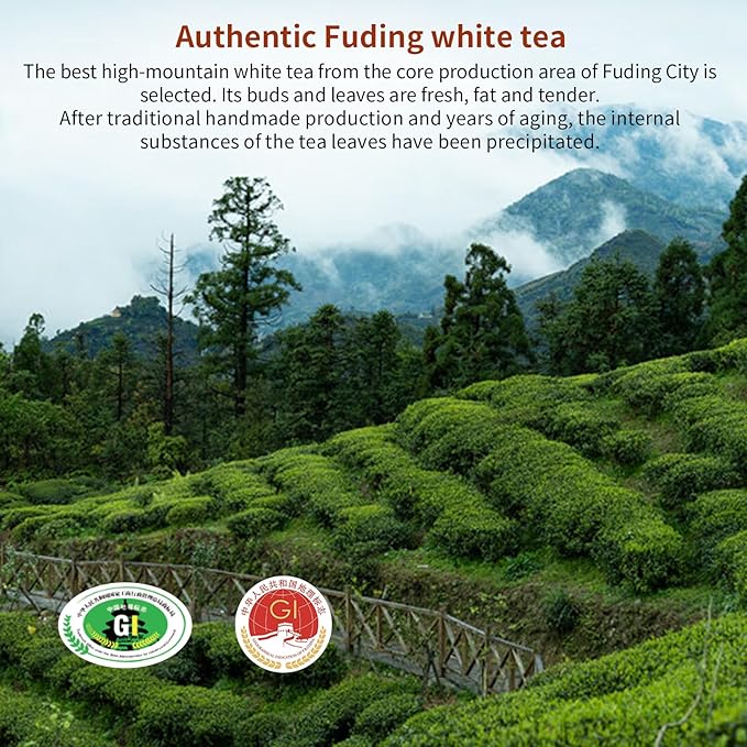 Yuexi Shou Mei White Tea Pearls 2013 Yr Chinese Tea Fuding Aged White Tea Dragon Ball Shou Mei Tea