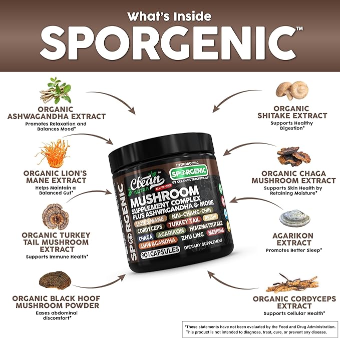 Organic Mushroom Supplement | Ashwagandha Lions Mane Cordyceps Turkey Tail Reishi Mushrooms Maca