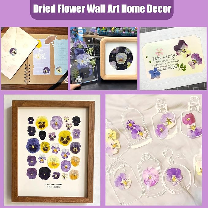 64 Pcs Dried Pressed Viola Flowers, 8 Color Gradient Purple Blue Yellow White, for Resin DIY Art