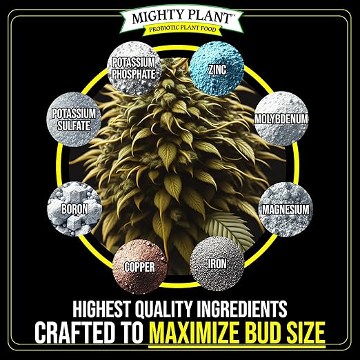 Bloom Booster Flowering Enhancer & Heavy Harvests – High-Density PK Formula – BudCharge 0-50-32 |