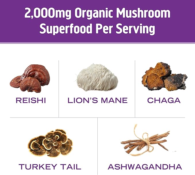 OM MUSHROOM SUPERFOOD Hot Chocolate Blend Mushroom Powder, Single Serve, 10 Count, Dutch Cocoa, 2g
