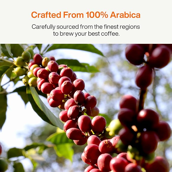 SATURNBIRD Coffee Instant Cold Brew, Medium-Dark Roast, Smooth & Balanced Blend of 100% Specialty