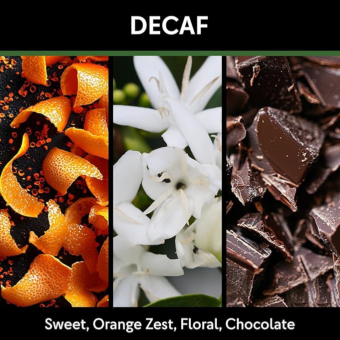 Beyond 85 Coffee High Scored Colombian Decaffeinated Coffee ??340g Whole Bean Decaf ??Smooth & Bold