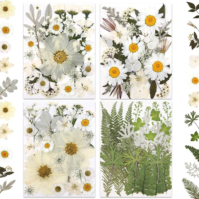 100P White Foliage & Flower Mix Dried Flowers for Crafts, Real Natural Pressed Flowers for DIY