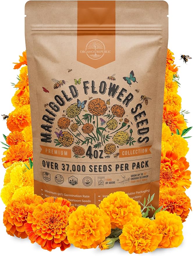 Marigold Seeds Pack 4 oz - Over 37,000 Non-GMO Heirloom Marigold Seeds for Planting Indoor &