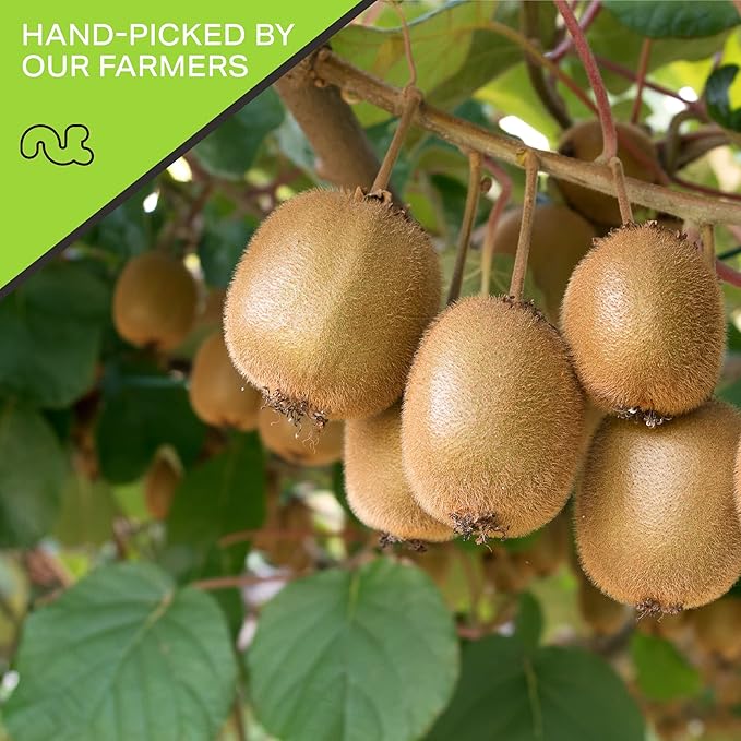 NUT CRAVINGS - Sun Dried Kiwi Slices, Lightly Sweetened (80oz, 5 LB, Bulk) Bulk Dry Fruits Packed