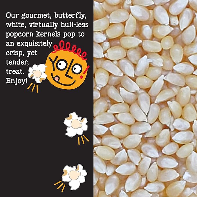 YOLO! Snacks - Gourmet White Virtually Hulless Popcorn Kernels - Small Kernels - Non-GMO - 14oz (3