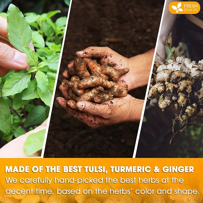 FreshDrinkUS, Premium 135 Tulsi Turmeric Ginger Tea Bags, 100% Natural & Pure from Tulsi Holy Basil
