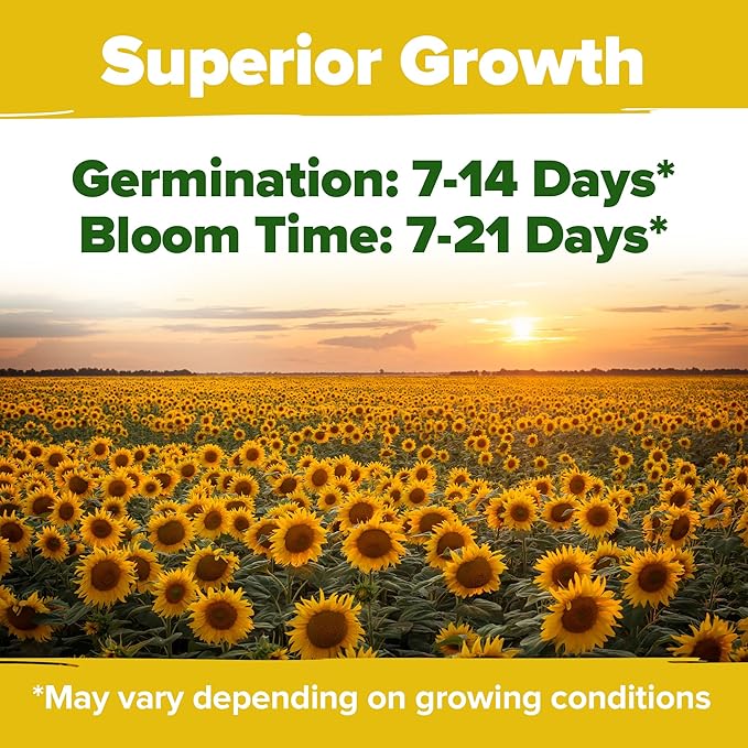 Home Grown Sunflower Seeds for Planting | 8 Varieties |1000+ Non-GMO Sun Flower Seeds Packets to