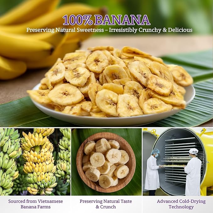 Vinamit Dried Banana Chips | Unsweetened Banana Chips | 8.8 oz Bag | Naturally Sweet, Non-GMO