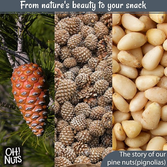 Oh! Nuts Pine Nuts (Pignolias) - Raw - 100% Natural Pine Nuts - 1 lb Bulk Bag - Premium Pignoli