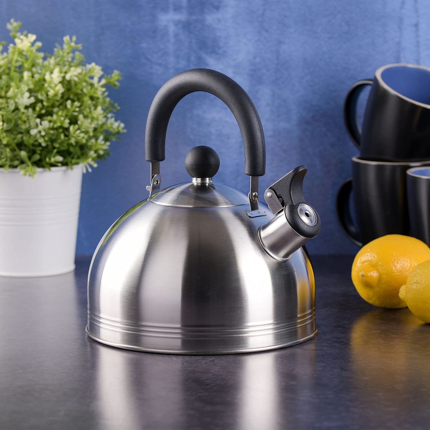 Mr. Coffee Carterton Stainless Steel Whistling Tea Kettle – 1.5-Quart Capacity, Mirror Polish